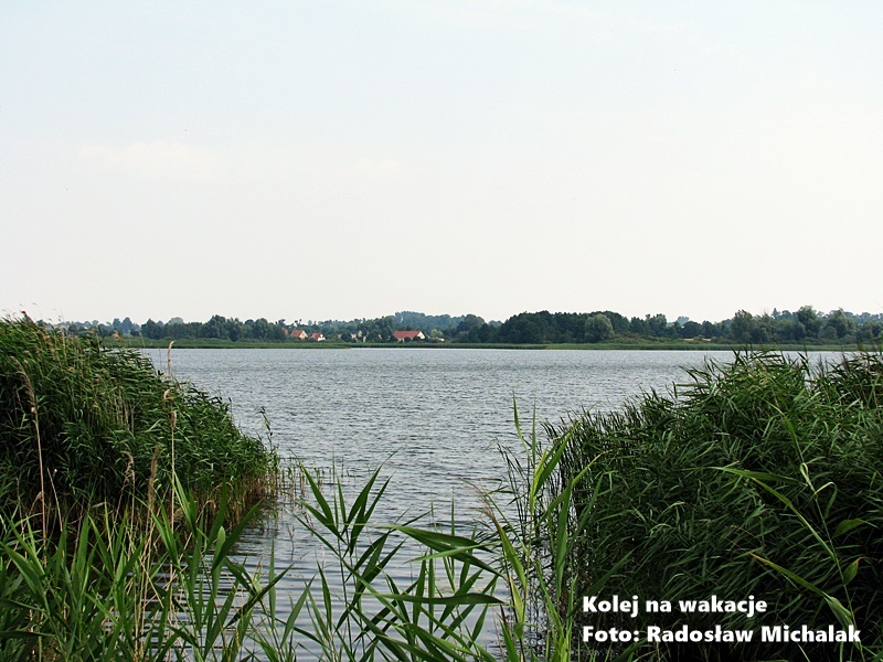 Urokliwy krajobraz regionu Pałuk, z widokiem na jezioro.