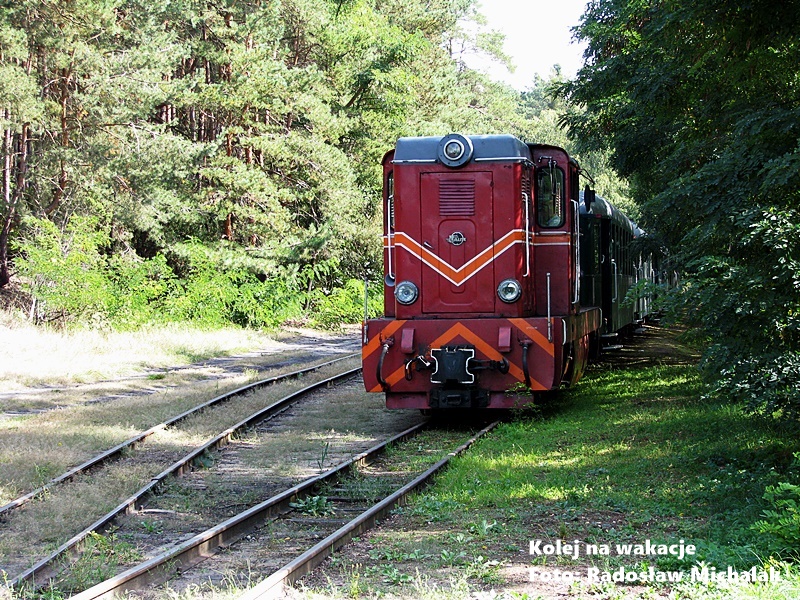 Lokomotywa wąskotorowa Lxd2-342 z wagonami pasażerskimi stoi na przystanku Wilcze Tułowskie wśród drzew.