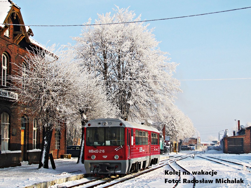 Pociąg wąskotorowy na stacji Pleszew Miasto.