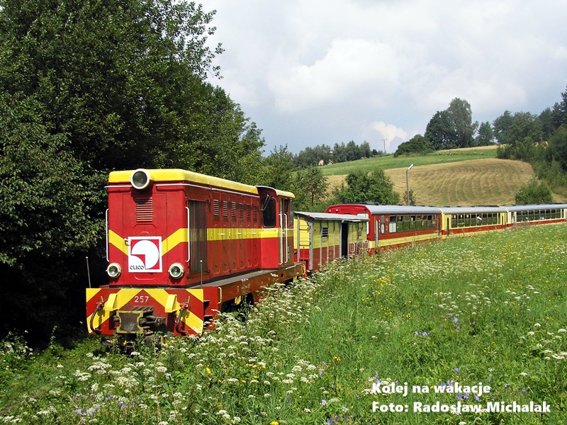 Pociąg wąskotorowy Pogórzanin wyjeżdża z tunelu w Szklarach, Polska.