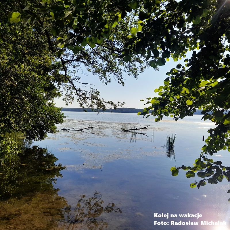 Spokojna, krystalicznie czysta tafla jeziora Radodzierz o wschodzie słońca. Brak fal tworzy idealne lustro wody, przez które wyraźnie widać dno oraz zieloną roślinność podwodną. W oddali delikatna poranna mgła nad brzegiem porośniętym gęstym borem sosnowym.