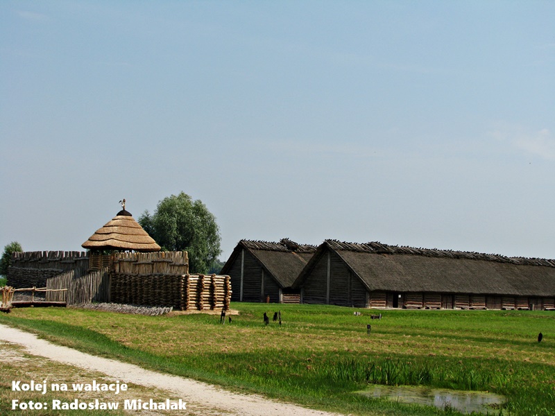 Zrekonstruowana osada z epoki żelaza w Biskupinie, widok na drewniane zabudowania i palisadę.