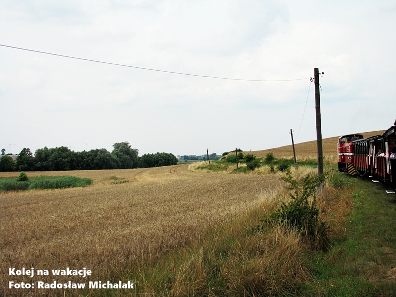 Widok na krajobraz Pałuk obserwowany z okna jadącego pociągu wąskotorowego.