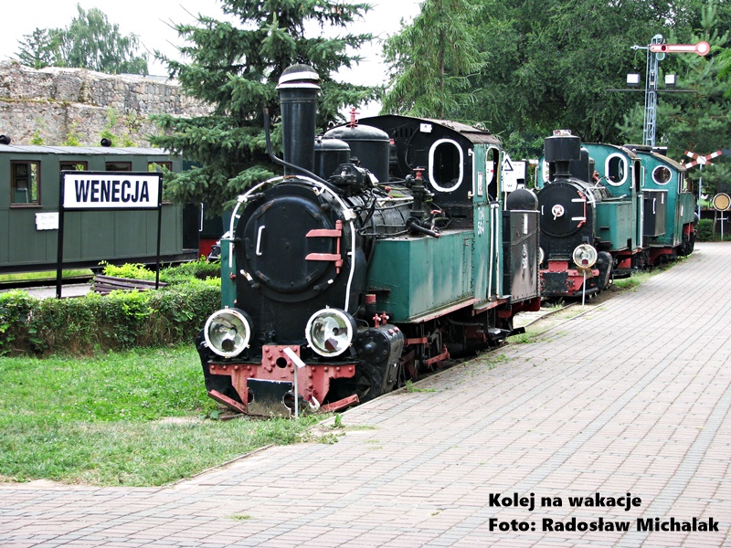 Zabytkowe lokomotywy i wagony na terenie Muzeum Kolei Wąskotorowych w Wenecji
