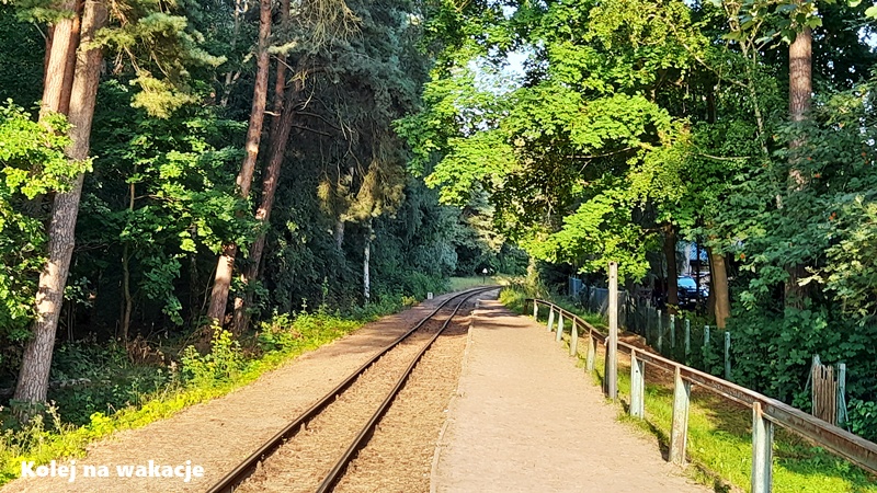 Widok na urokliwą, drewnianą wiatę przystanku Jantar Port przy torach Żuławskiej Kolei Dojazdowej, otoczoną nadmorskim lasem.