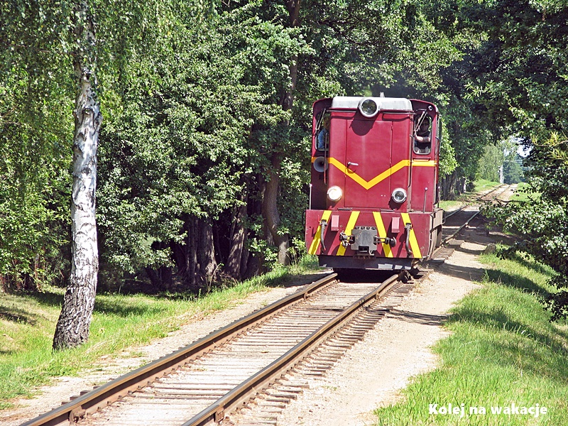 Lokomotywa Lxd2-465 manewruje przy miejscu piknikowym w Runowie na trasie Piaseczyńskiej Kolei Wąskotorowej.
