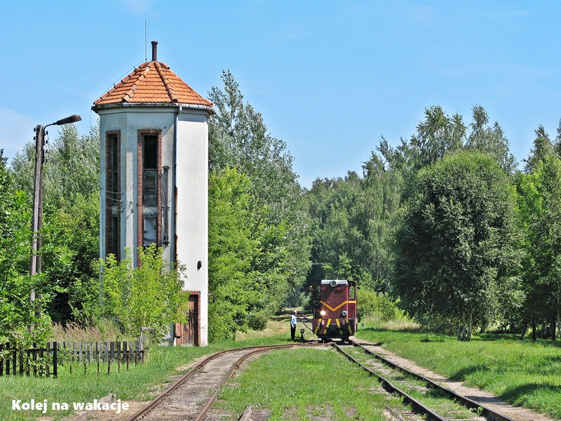 Manewry lokomotywy Lxd2 na stacji Tarczyn Piaseczyńskiej Kolei Wąskotorowej.