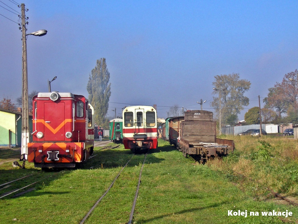Stacja Jędrzejów Wąskotorowy - formowanie składu.