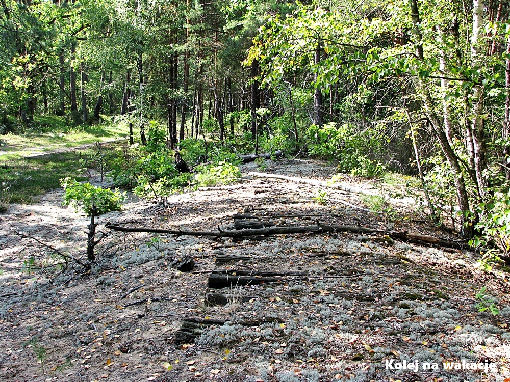 Widoczny nasyp, pognite podkłady, brakuje szyn.