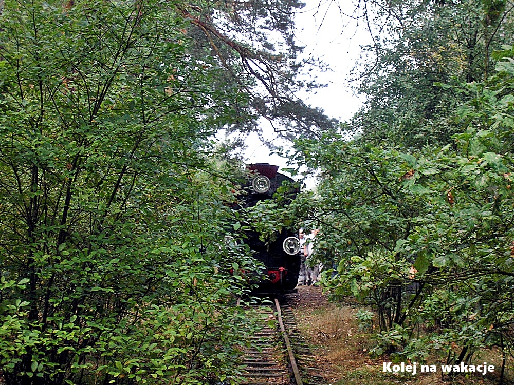 Wilcze Tułowskie - początek nieczynnego szlaku do Piasków.