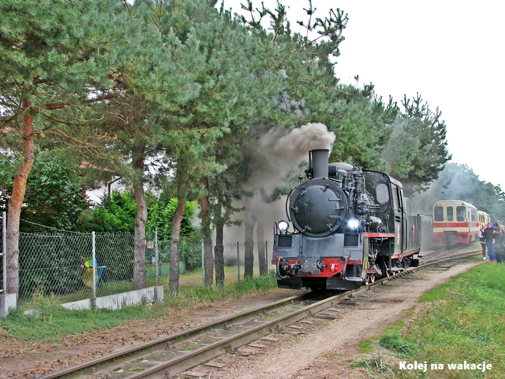 Żywa legenda na torach! Parowóz Px48-1752, sprowadzony specjalnie z Ełckiej Kolei Wąskotorowej, był największą atrakcją obchodów 120-lecia Żuławskiej Kolei Dojazdowej.