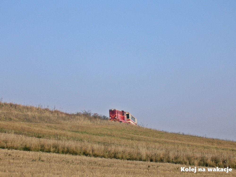 Wąskotorowy pociąg na wzgórzu między Sędziejowicami, a Umianowicami.