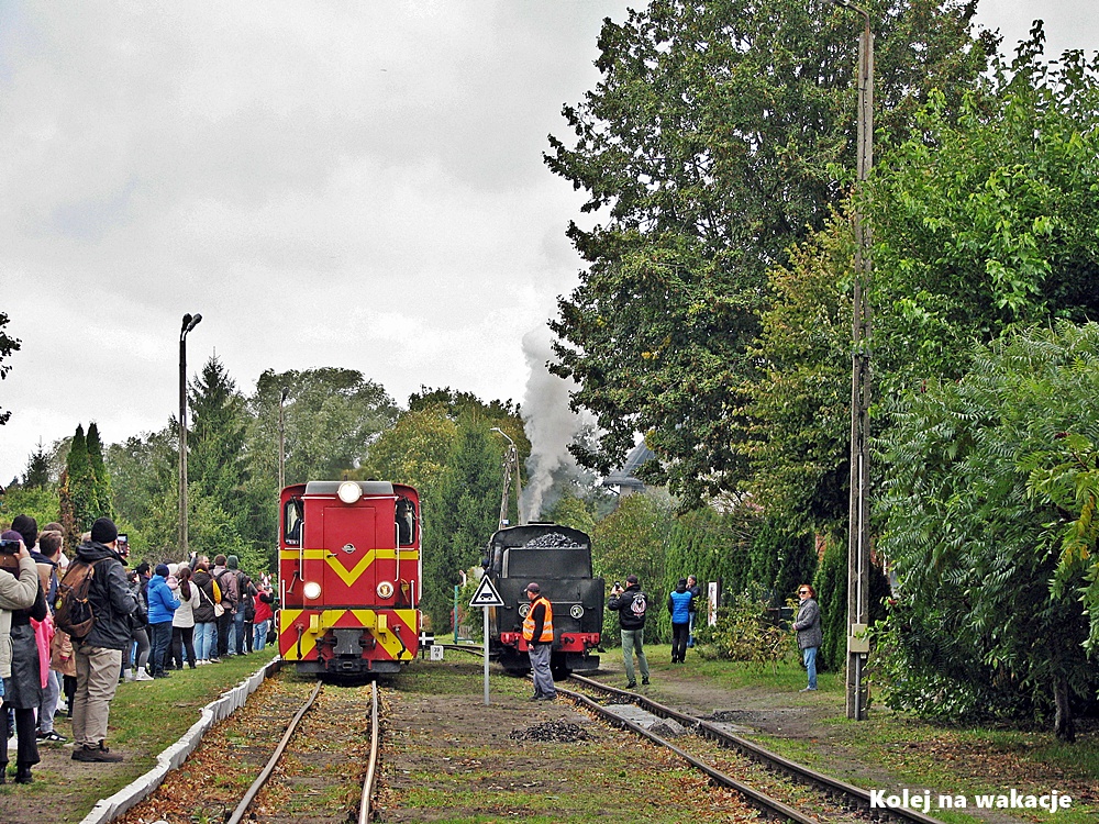 Stacja Stegna Gdańska 5 października 2025 roku. Pociąg z lokomotywą spalinową, czynny parowóz i tłumy turystów na peronie.