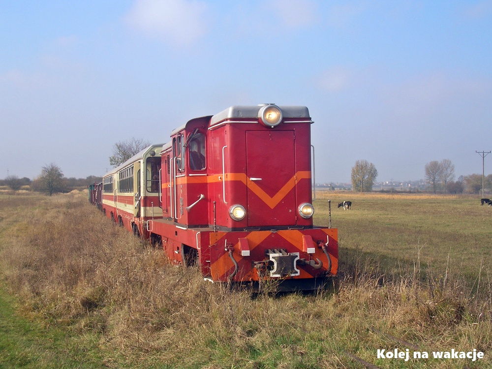 Pociąg na nieczynnym szlaku, w drodze do Sędziejowic.