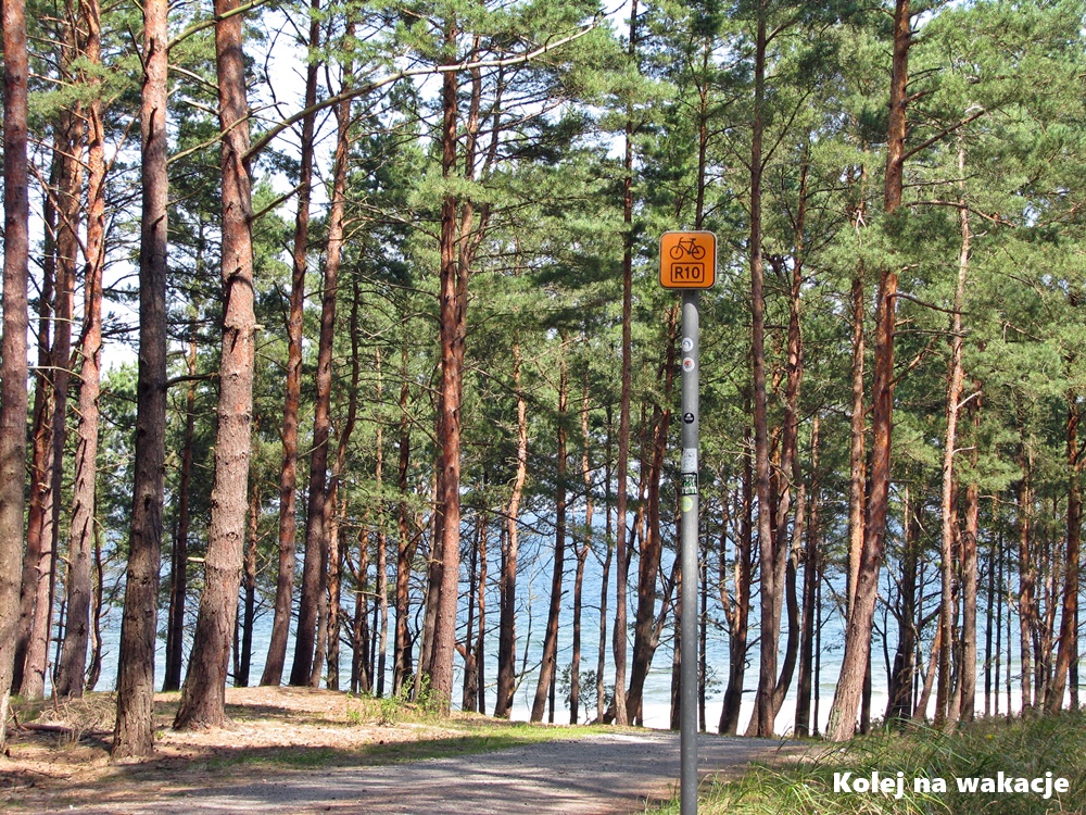 Widok na Morze Bałtyckie wprost z trasy rowerowej R10.