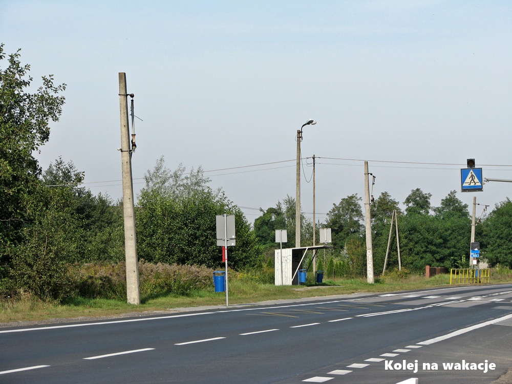 Nieczynna trasa tramwaju linii 46 w miejscowości Słowik, między Zgierzem a Ozorkowem.