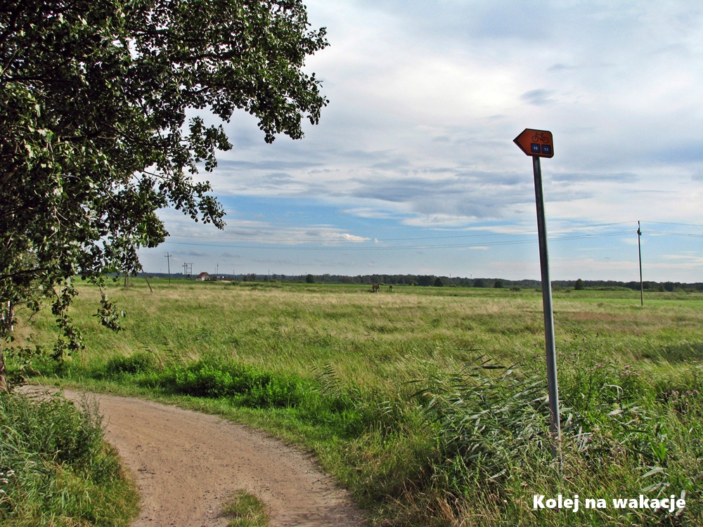 Trasa rowerowa w okolicy miejscowości Rowy.