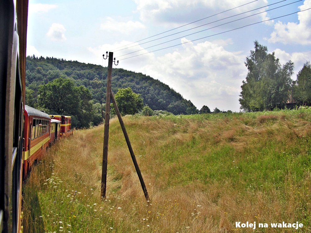 Widok z okna pociągu wąskotorowego Pogórzanin na krajobraz Pogórza Dynowskiego, Polska.