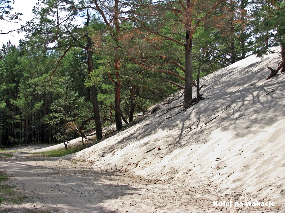 Piaszczysta wydma na wysokości miejscowości Stilo.&nbsp; 