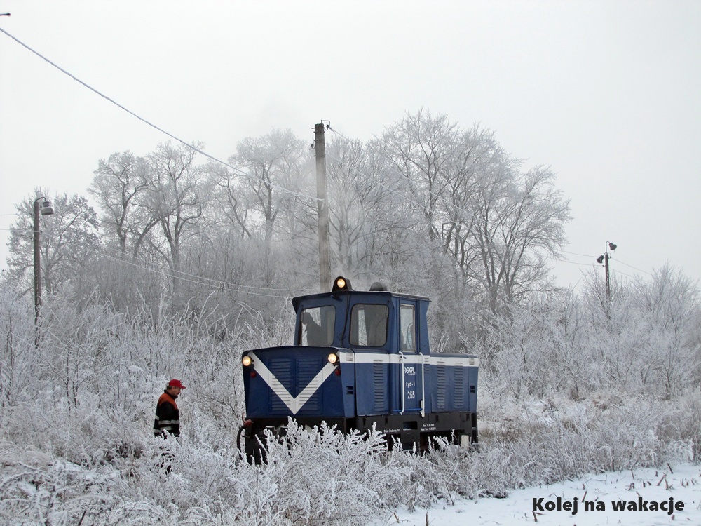 Zimowe manewry lokomotywy Lyd1 w Pleszewie.