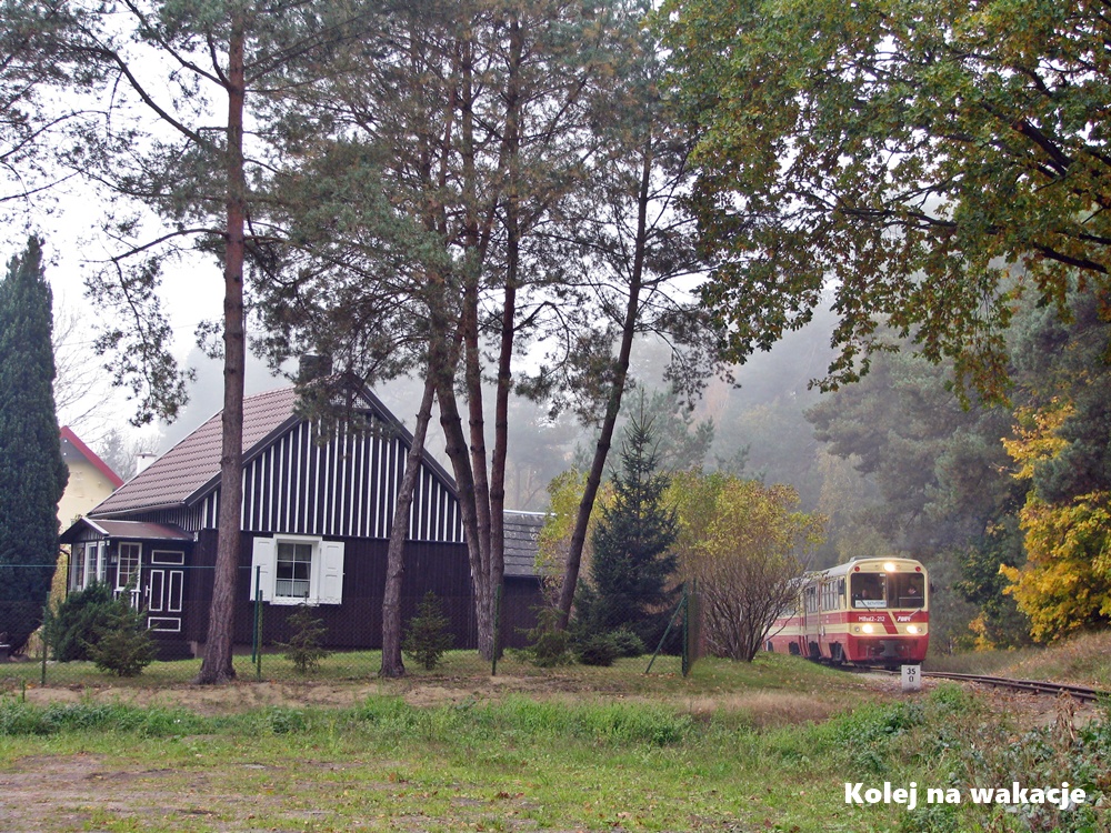 Żuławy i Mierzeja Wiślana: unikalny region Polski - zabytkowa architektura domów żuławskich w jesiennej mgle, obok której przejeżdża pociąg Żuławskiej Kolei Dojazdowej w Jantarze.