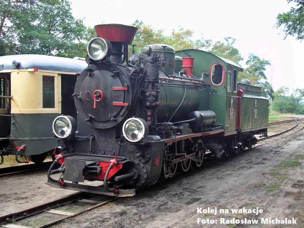 Parowóz serii Px29 manewruje na stacji Wilcze Tułowskie.