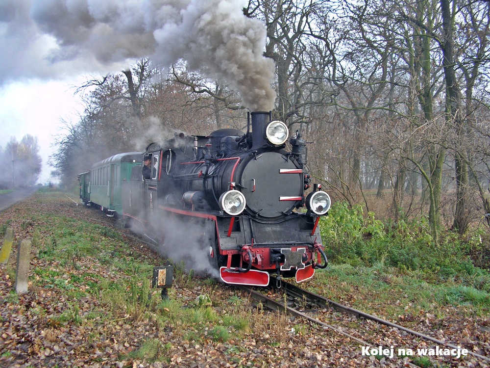 Parowóz Px48-1756 prowadzący pociąg Średzkiej Kolei Powiatowej w jesiennej scenerii.