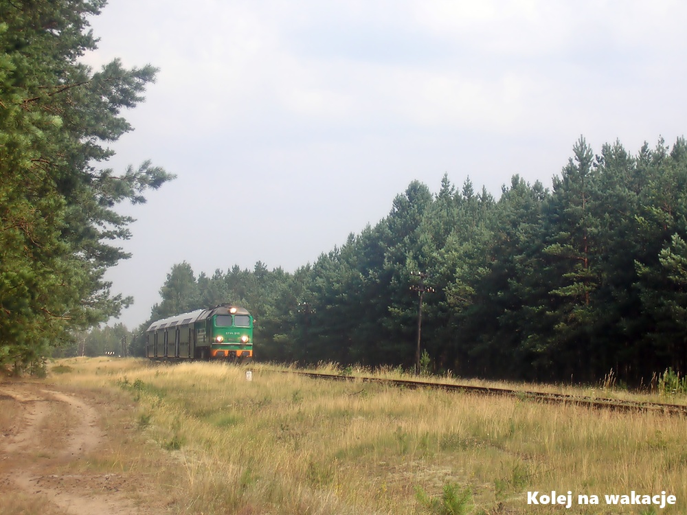 Archiwalne zdjęcie pociągu specjalnego w Borach Tucholskich z lipca 2010 roku: lokomotywa ST44-949 prowadzi ciemnozielony skład wagonów piętrowych Bipa przez gęsty las.