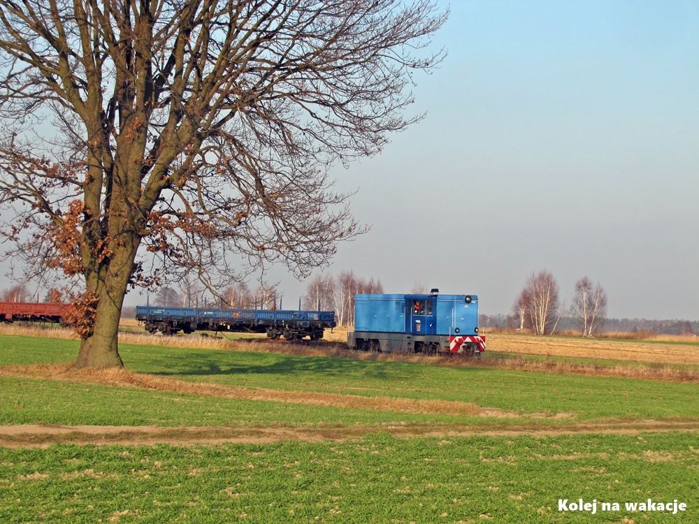 Zdjęcie pociągu towarowego na wąskotorowej trasie Kaliskiej Kolei Dojazdowej. Lokomotywa w barwach przewoźnika SKPL ciągnie wagony towarowe przez tereny zielone. Fotografia o charakterze archiwalnym.