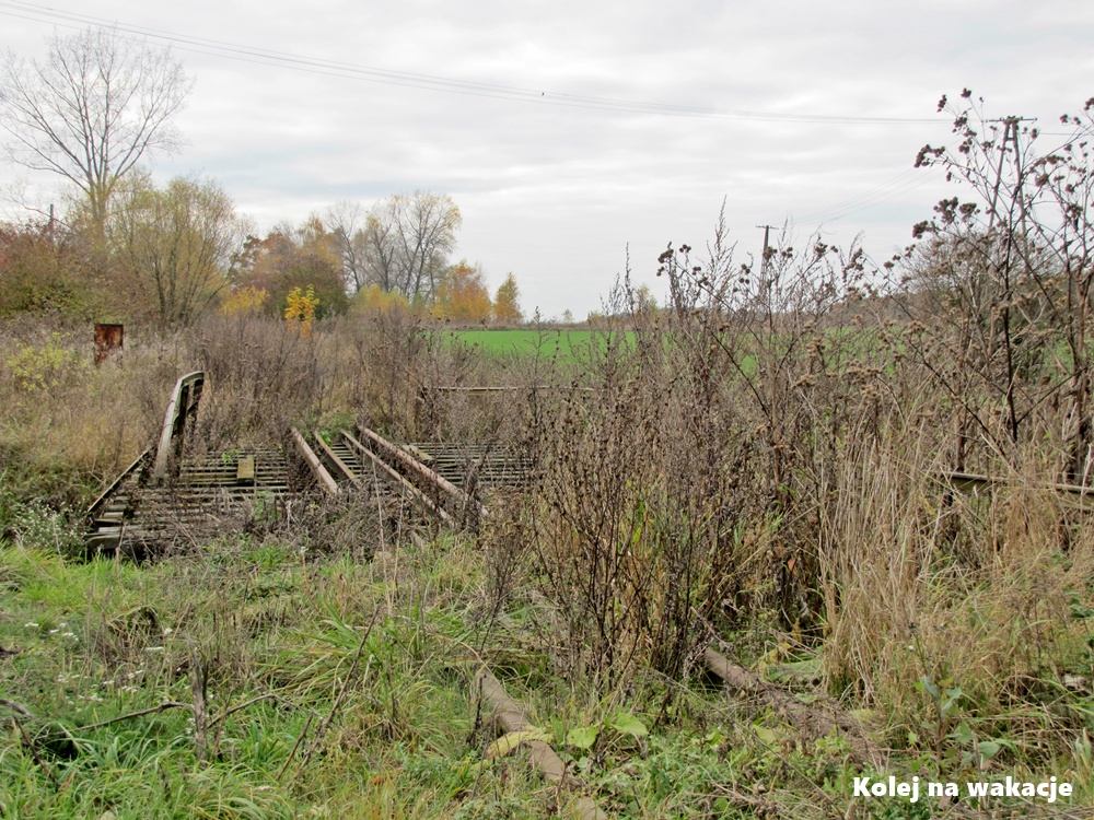 Nieczynny szlak Mławskiej Kolej Dojazdowej w okolicach Gruduska.