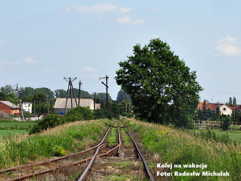 Widok na rozjazd i splot trzyszynowy w Pleszewie, gdzie szyny toru wąskotorowego 750 mm łączą się z torem normalnotorowym 1435 mm. Widoczna zwrotnica i skomplikowana geometria torowiska.