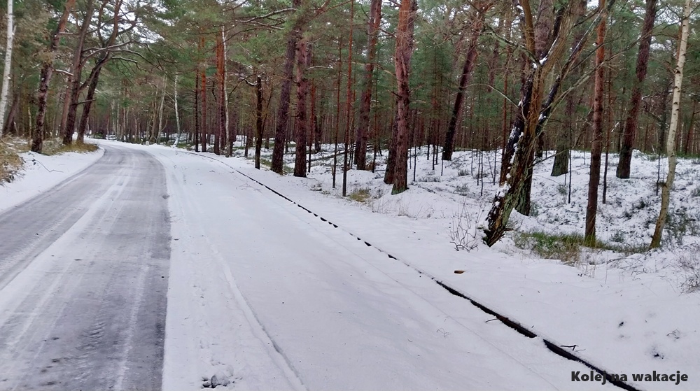Zimowy widok na wąski tor kolejowy biegnący wzdłuż drogi przez gęsty las sosnowy na Helu. Szyny o rozstawie 600 mm są niemal całkowicie przykryte śniegiem, tworząc dwie proste linie prowadzące w głąb dzikiego, leśnego krajobrazu.
