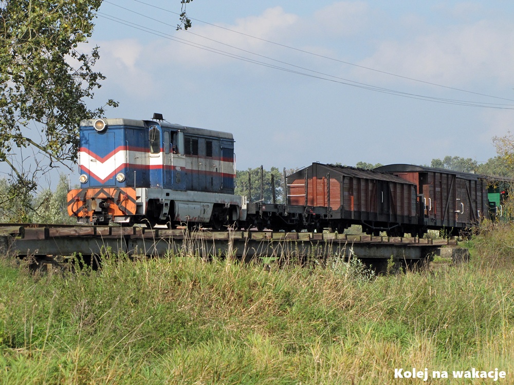 Lokomotywa wąskotorowa Lxd2-289 prowadzi pociąg towarowy przez most na rzece Swędrni w miejscowości Dębe, październik 2010 roku.