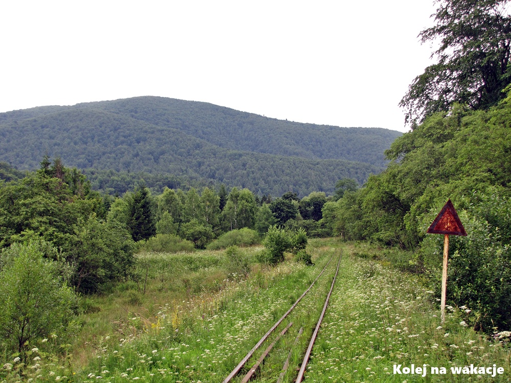 Zardzewiały, znak kolejowy stojący przy torach bieszczadzkiej kolei wąskotorowej, w tle zielone pagórki i gęsta roślinność.
