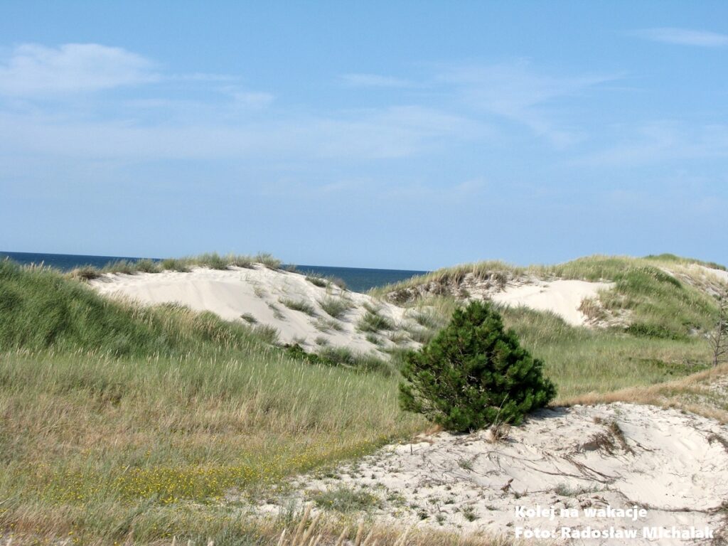Wysoka wydma porośnięta trawą piaskową na tle błękitnego Morza Bałtyckiego w Słowińskim Parku Narodowym; krajobraz z piaszczystym brzegiem i błękitnym niebem.