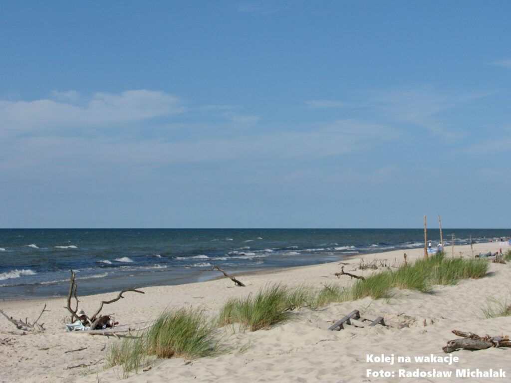 Szeroka, dzika plaża w Słowińskim Parku Narodowym w okolicach Smołdzina; biały piasek, wyrzucone przez morze konary drzew i brak tłumów turystów pod bezchmurnym niebem.