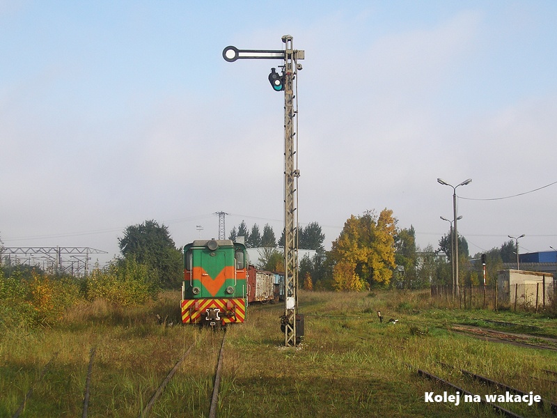 Archiwalne zdjęcie z 2008 roku przedstawiające stację kolei wąskotorowej w Piotrkowie Trybunalskim. Na torach stoi zielona lokomotywa spalinowa Lxd2-308 z podpiętymi wagonami towarowymi.