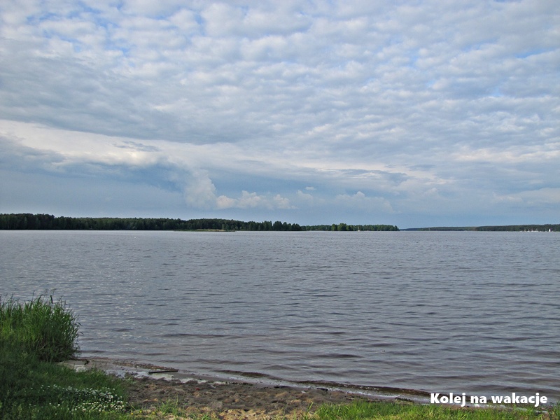 Widok z cypla w Barkowicach Mokrych na panoramę Zalewu Sulejowskiego. Szeroki błękit wody, w oddali linia lasu.
