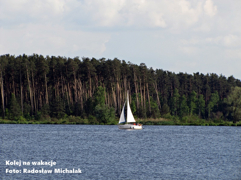 Zalew Sulejowski - Spokojne wody z żaglówką w oddali i malowniczą ścianą lasu przy brzegu w słoneczny dzień.