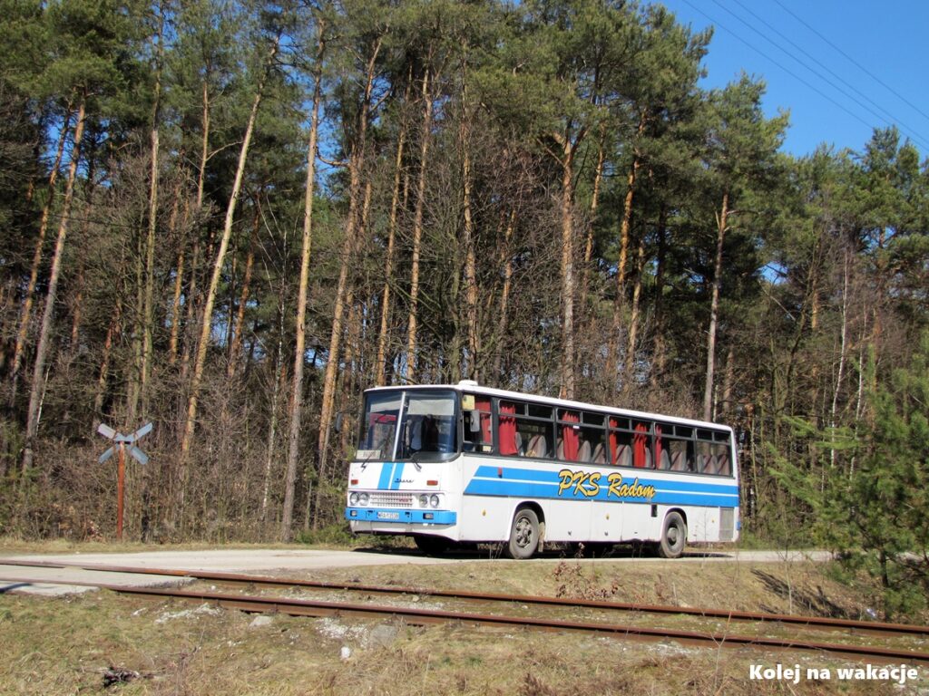 Klasyczny autobus Ikarus 256 w barwach PKS Radom stojący na leśnym przejeździe kolejowym na linii Tomaszów Mazowiecki – Spała w kwietniu 2013 roku.