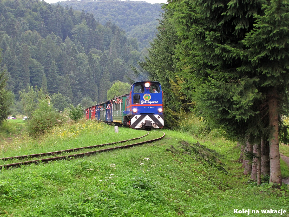 Bieszczadzka Kolej Leśna - pociąg turystyczny w miejscowości Cisna.