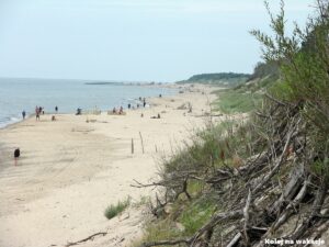 Malowniczy widok z piaszczystego klifu w Dębinie na dziką plażę i linię brzegową w kierunku Rowów.