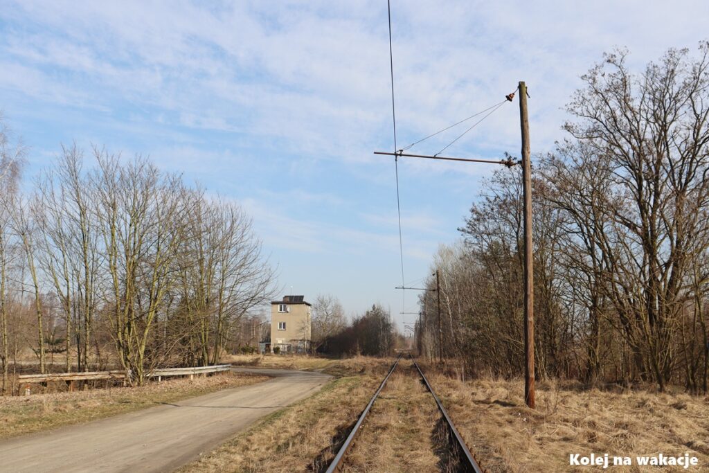 Unikalne drewniane słupy trakcyjne kolei górniczej KWB Konin z pojedynczym przewodem w rejonie Janowa.