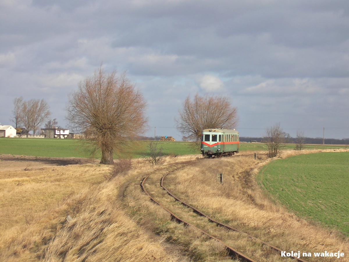 Wagon motorowy MBxd1-204 na nieczynnym odcinku Kujawskich Kolei Dojazdowych w Gołębinie, charakterystyczne wierzby przy wąskim torze.