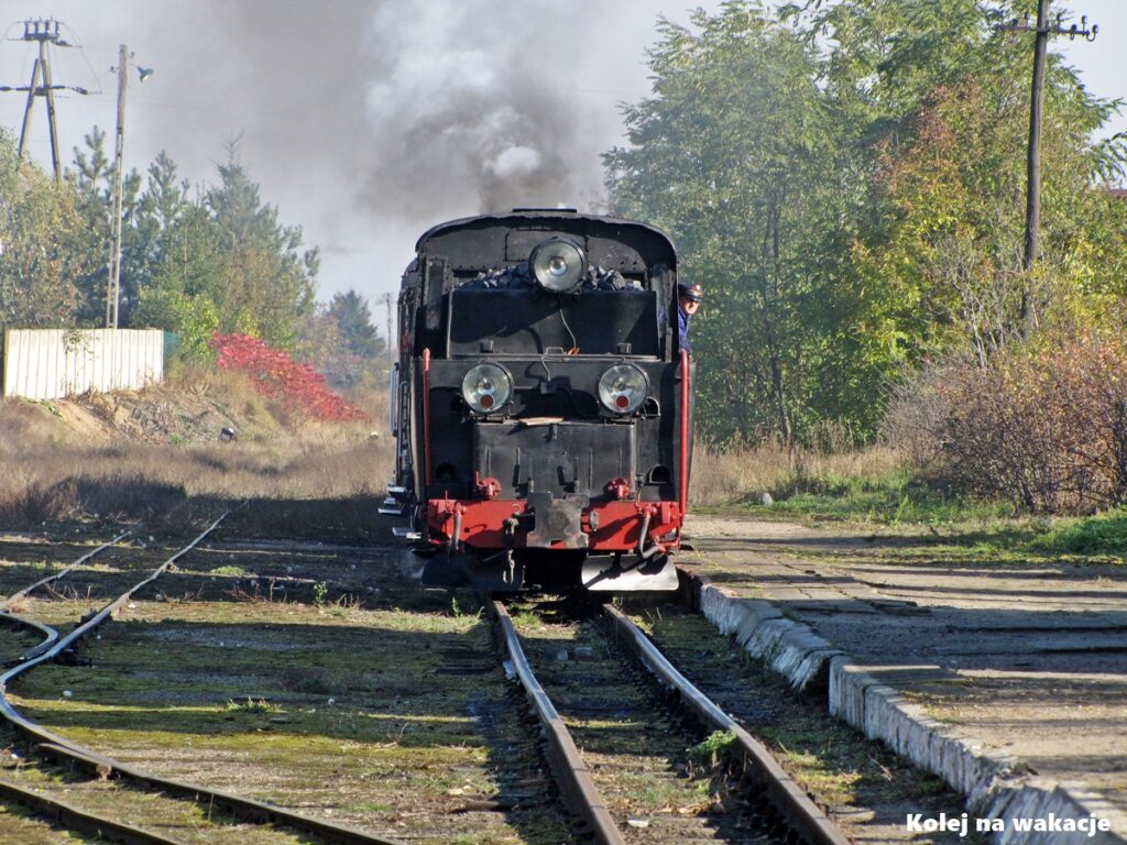 Parowóz wąskotorowy Px48-1756 podczas manewrów przy peronie na stacji kolejowej w Zaniemyślu, obsługujący skład pociągu retro.