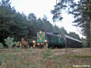 Linia Tomaszów Mazowiecki – Spała Pociąg specjalny z lokomotywą spalinową SP42-007 i wagonami piętrowymi Bhp na leśnym odcinku w jesiennym świetle.