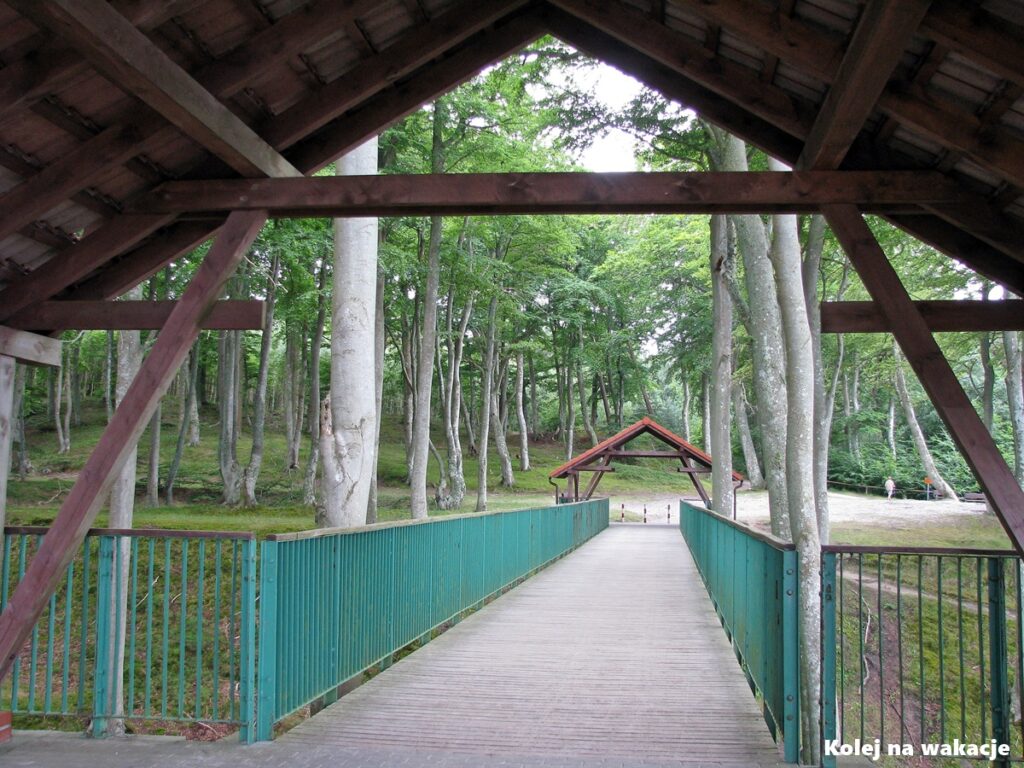 Drewniany mostek dla pieszych i rowerzystów nad głębokim wąwozem w nadmorskim lesie w Poddąbiu.