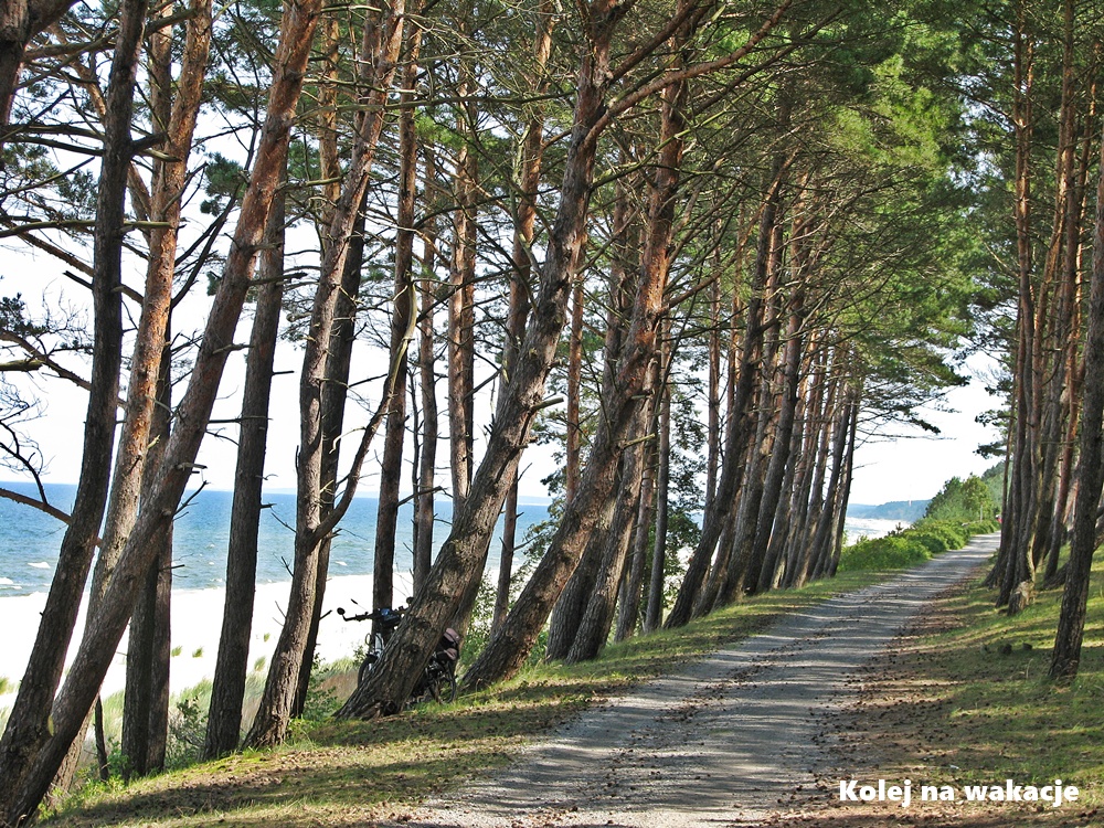 Ścieżka rowerowa nad Bałtykiem – wycieczki rowerowe i piesze w Polsce