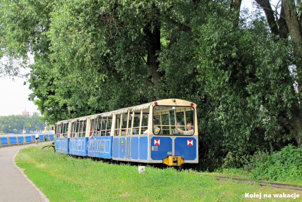 Widok od tyłu na pociąg Kolejki Parkowej Maltanka niknący wśród drzew na szlaku wzdłuż Jeziora Maltańskiego w Poznaniu.