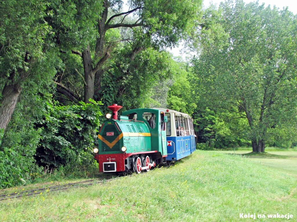 Pociąg Kolejki Parkowej Maltanka podczas przejazdu trasą wzdłuż Jeziora Maltańskiego w Poznaniu.